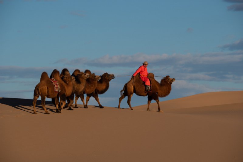 Gobi-2018-1910
