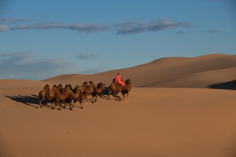 Gobi-2018-1999