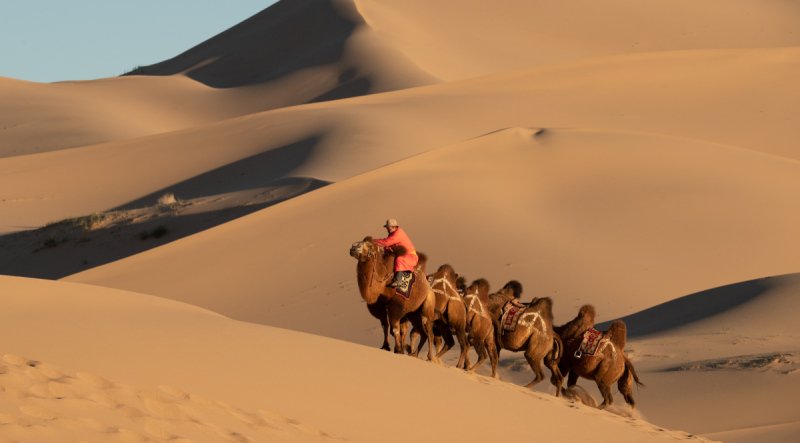 Gobi-2018-2038