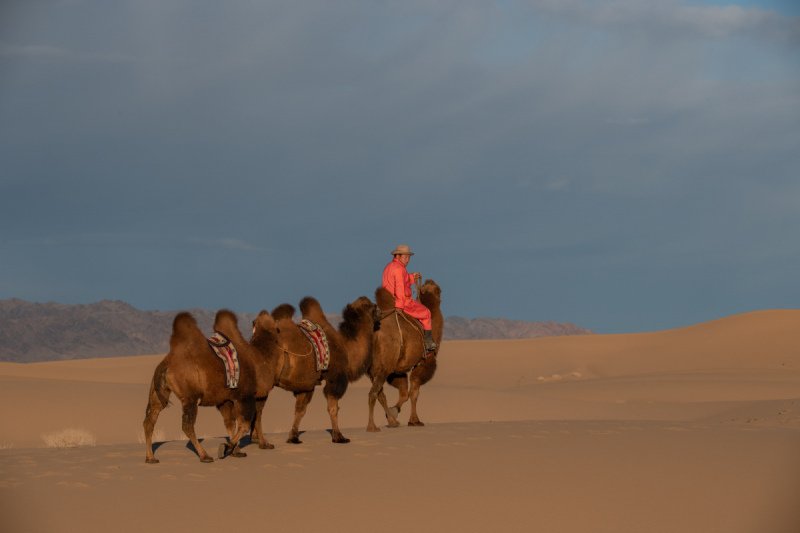 Gobi-2018-2104-2