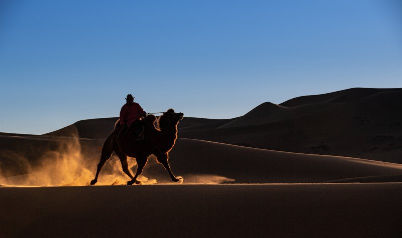 Gobi-2018-2598