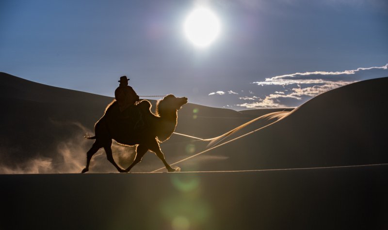 Gobi-2018-2631