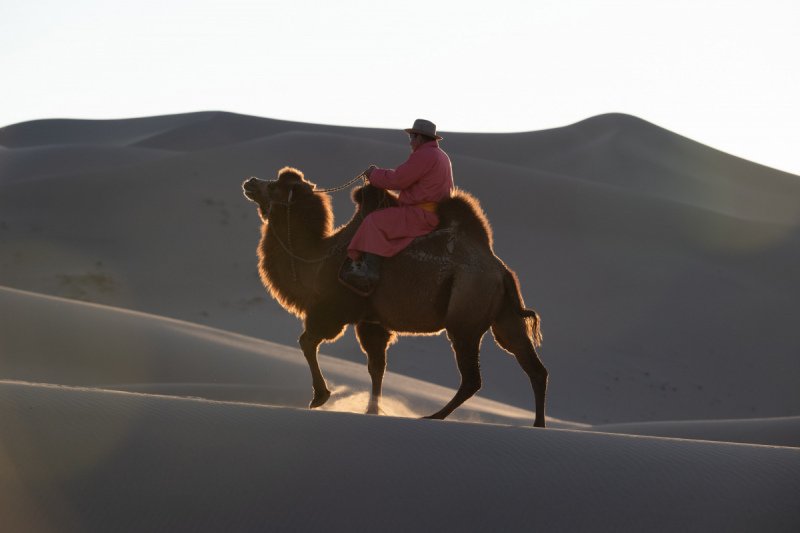 Gobi-2018-2735