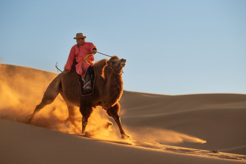 Gobi-2018-2805