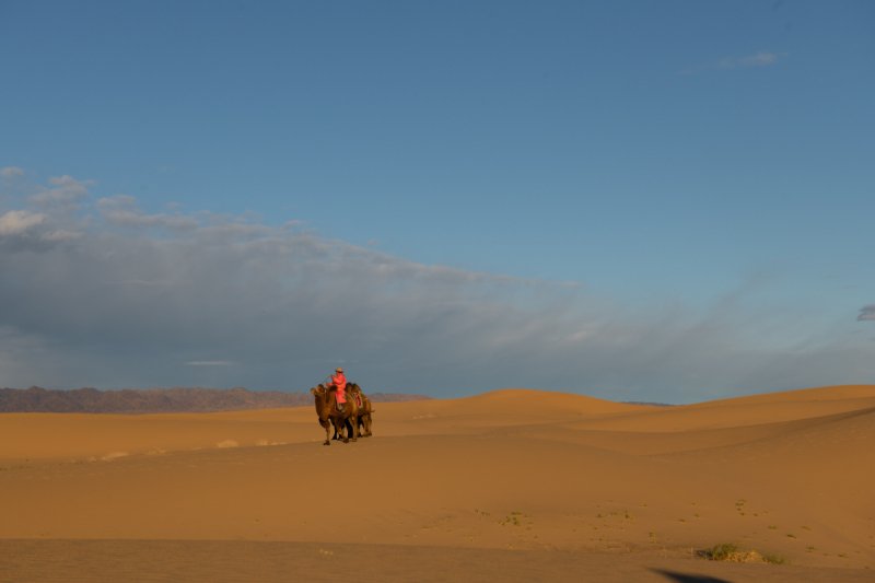 Gobi-2018-3458