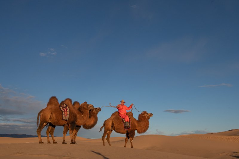 Gobi-2018-3653