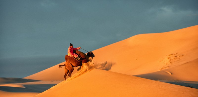 Gobi-2018-5406