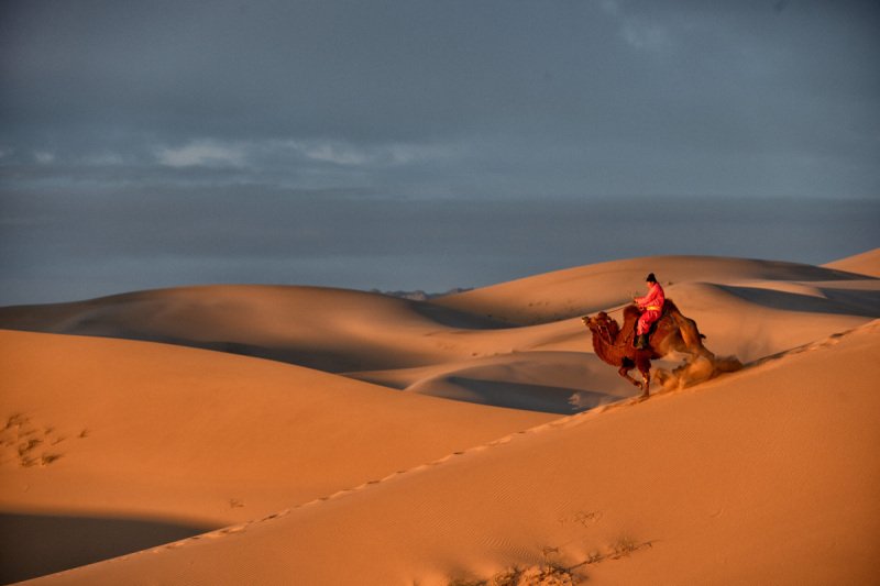Gobi-2018-5501