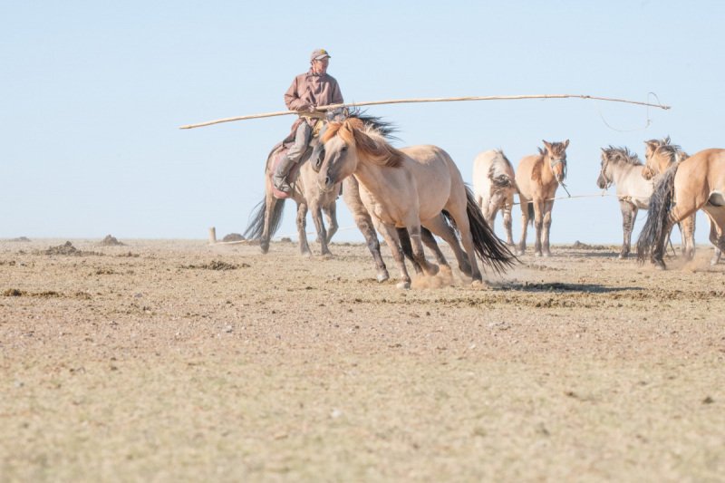 Gobi-2018-9017