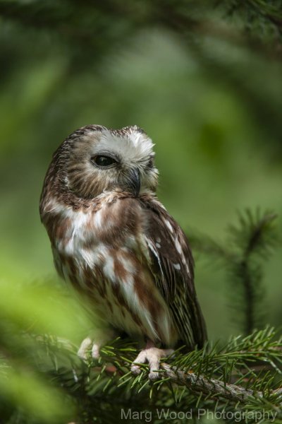 20100623-DSC_7858-1-scaled