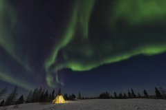 2016-Polar-Bears-10762