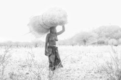 Africa-2022-tiff-324-2