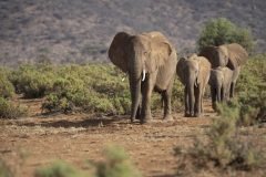 Africa-all-years-2-112-1-scaled