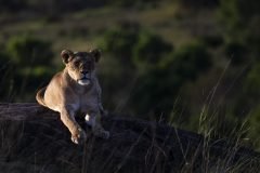 Africa-all-years-2-138-1-scaled