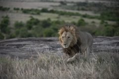 Africa-all-years-224-1-scaled