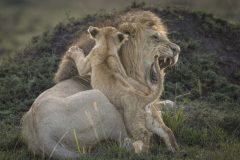 Africa-all-years-243-1-scaled