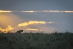 Africa-all-years-426-1-scaled