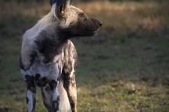 Africa-all-years-670-2-1-scaled