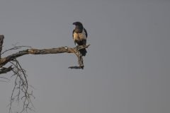 Africa-all-years-672-2-1-scaled