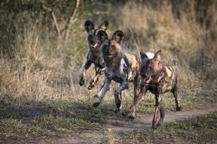 Africa-all-years-689-scaled