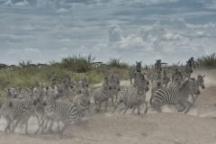 Africa-all-years-705-scaled