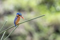 Africa-all-years-709-2-scaled