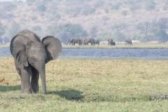 Africa-all-years-714-3-scaled