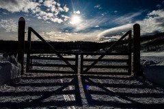 Colorado-2019-553.jpg-nggid048885-ngg0dyn-800x600x100-00f0w010c011r110f110r010t010