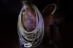 Colorado-2019-5583.jpg-nggid048887-ngg0dyn-800x600x100-00f0w010c011r110f110r010t010