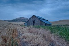 Palouse-2015-36.jpg-nggid048578-ngg0dyn-800x600-00f0w010c010r110f110r010t010