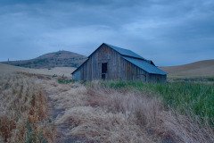 Palouse-2015-36.jpg-nggid048578-ngg0dyn-800x600x100-00f0w010c011r110f110r010t010