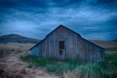 Palouse-2015-39.jpg-nggid048579-ngg0dyn-2000x1330x100-00f0w010c010r110f110r010t010