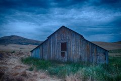 Palouse-2015-39.jpg-nggid048579-ngg0dyn-800x600-00f0w010c010r110f110r010t010
