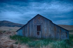 Palouse-2015-39.jpg-nggid048579-ngg0dyn-800x600x100-00f0w010c011r110f110r010t010