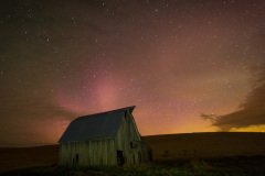 Palouse-2015-579.jpg-nggid048584-ngg0dyn-800x600x100-00f0w010c011r110f110r010t010