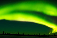 Polar-Bear-2018-10.jpg-nggid048883-ngg0dyn-2000x550x100-00f0w010c011r110f110r010t010