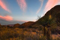 Texas-2019-126.jpg-nggid048899-ngg0dyn-0x720-00f0w010c010r110f110r010t010