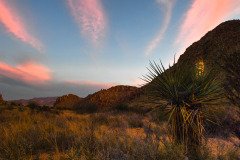 Texas-2019-126.jpg-nggid048899-ngg0dyn-2000x1333-00f0w010c010r110f110r010t010