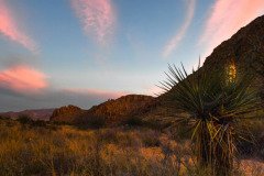 Texas-2019-126.jpg-nggid048899-ngg0dyn-800x600x100-00f0w010c011r110f110r010t010
