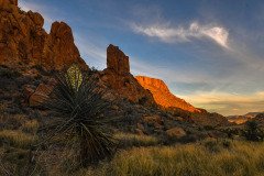 Texas-2019-186.jpg-nggid048902-ngg0dyn-2000x1333x100-00f0w010c010r110f110r010t010