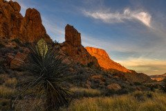 Texas-2019-186.jpg-nggid048902-ngg0dyn-800x600x100-00f0w010c011r110f110r010t010