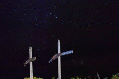 Texas-2019-44.jpg-nggid048892-ngg0dyn-1333x2000x100-00f0w010c010r110f110r010t010