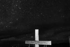 Texas-2019-48.jpg-nggid048893-ngg0dyn-1333x2000x100-00f0w010c010r110f110r010t010