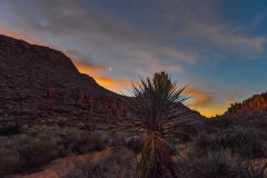 Texas-2019-64.jpg-nggid048897-ngg0dyn-2000x1333x100-00f0w010c010r110f110r010t010
