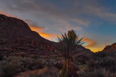 Texas-2019-64.jpg-nggid048897-ngg0dyn-800x600x100-00f0w010c011r110f110r010t010