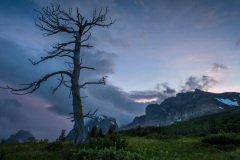 margwood-7007-2-Edit.jpg-nggid048555-ngg0dyn-2000x1331x100-00f0w010c010r110f110r010t010