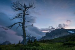 margwood-7007-2-Edit.jpg-nggid048555-ngg0dyn-800x600-00f0w010c010r110f110r010t010