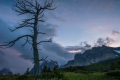 margwood-7007-2-Edit.jpg-nggid048555-ngg0dyn-800x600x100-00f0w010c011r110f110r010t010