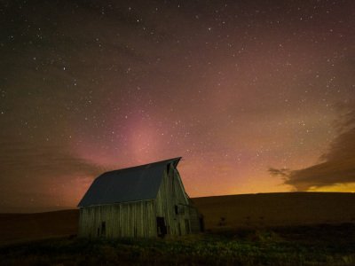 Palouse-2015-579