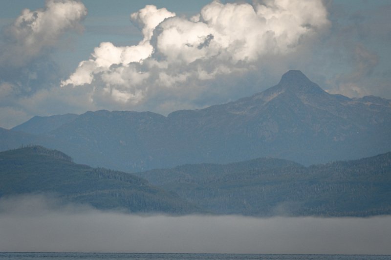 Great-Bear-Rainforest-2019-2004